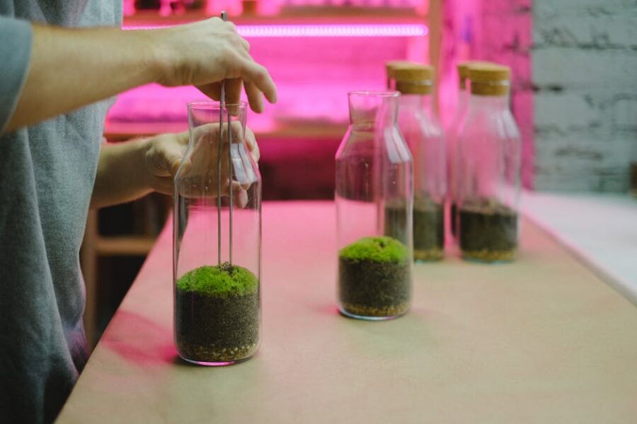 Cómo Crear un Ecosistema Acuático Saludable en tu Hogar: Guía Completa para Acuaristas
