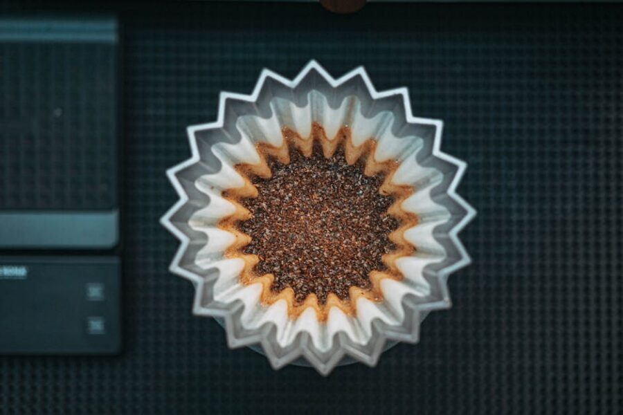 Cómo Elegir los Filtros Más Eficientes para Acuarios de Gran Tamaño