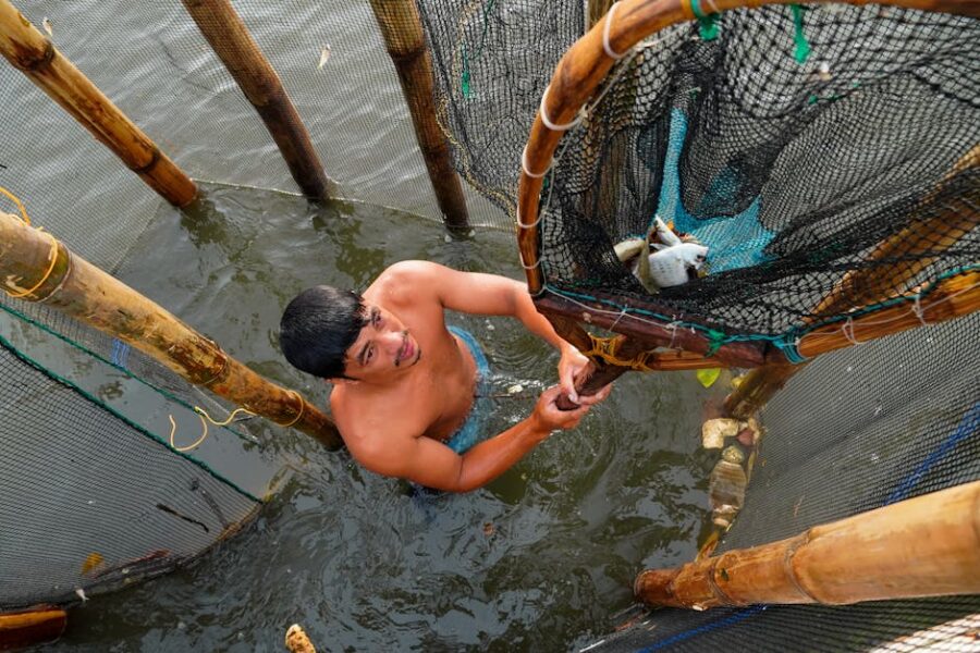 Cómo Manejar Peces que No se Adaptan a tu Acuario: Soluciones y Consejos Prácticos
