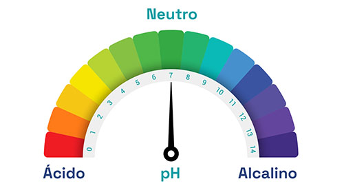 Cómo Mantener el pH Ideal en Tu Acuario