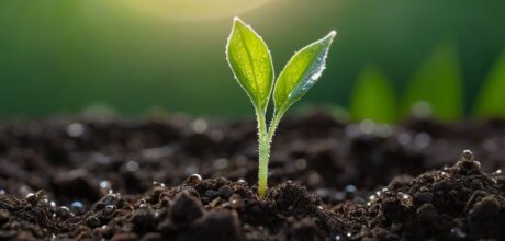 Cómo cultivar paciencia diaria: Claves y técnicas